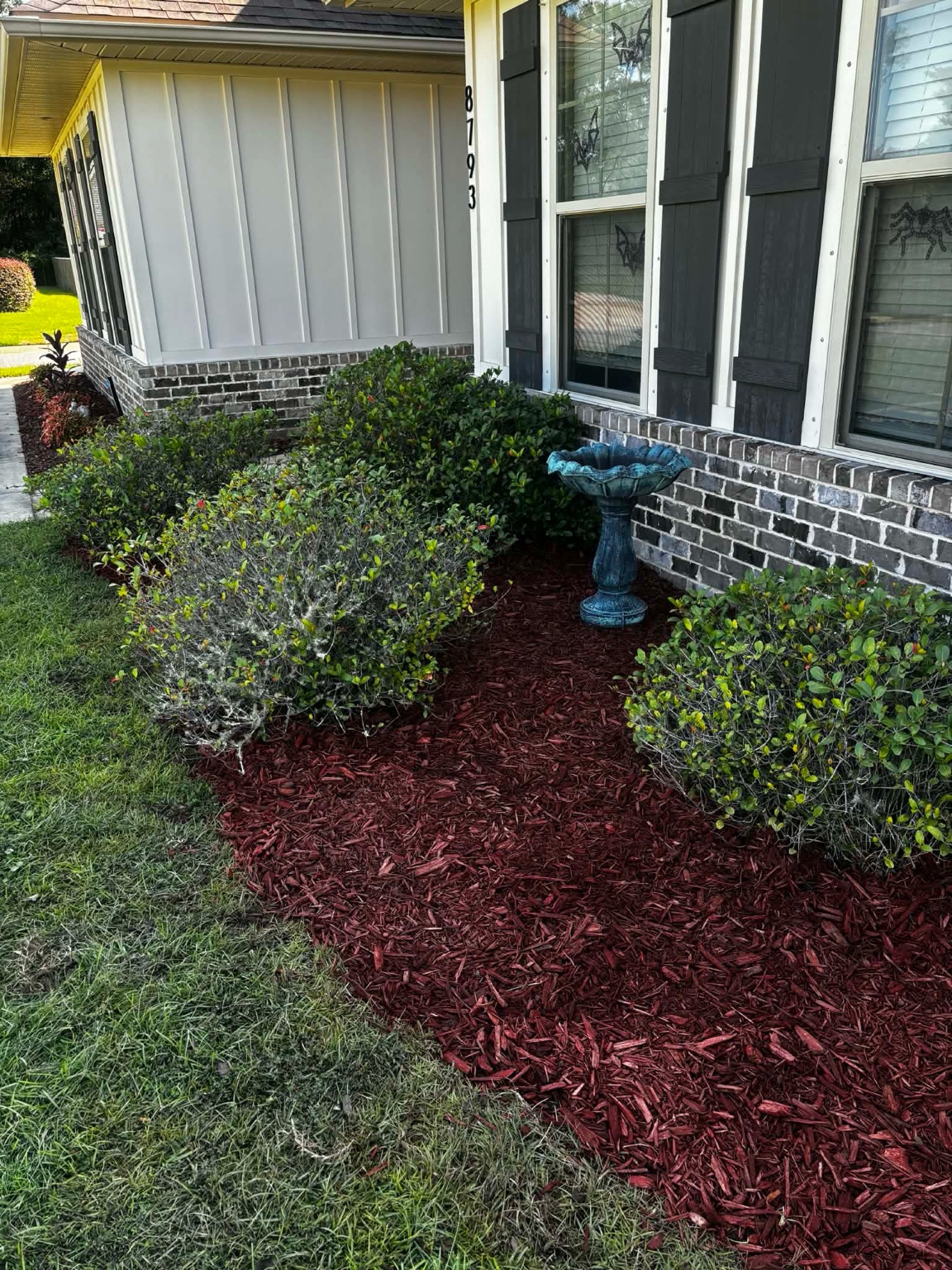 Professional hedge cleanup service